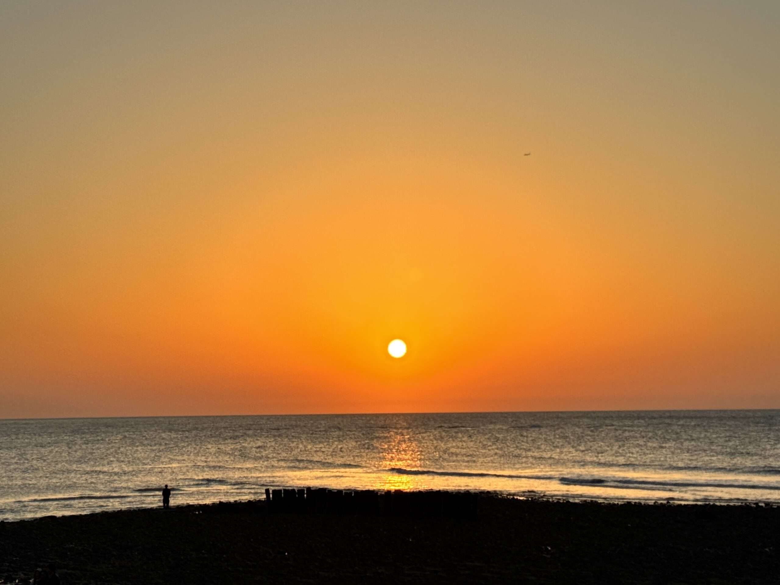 連假樂遊桃園!賞花、吃海鮮、看夜景 享受春天浪漫氛圍