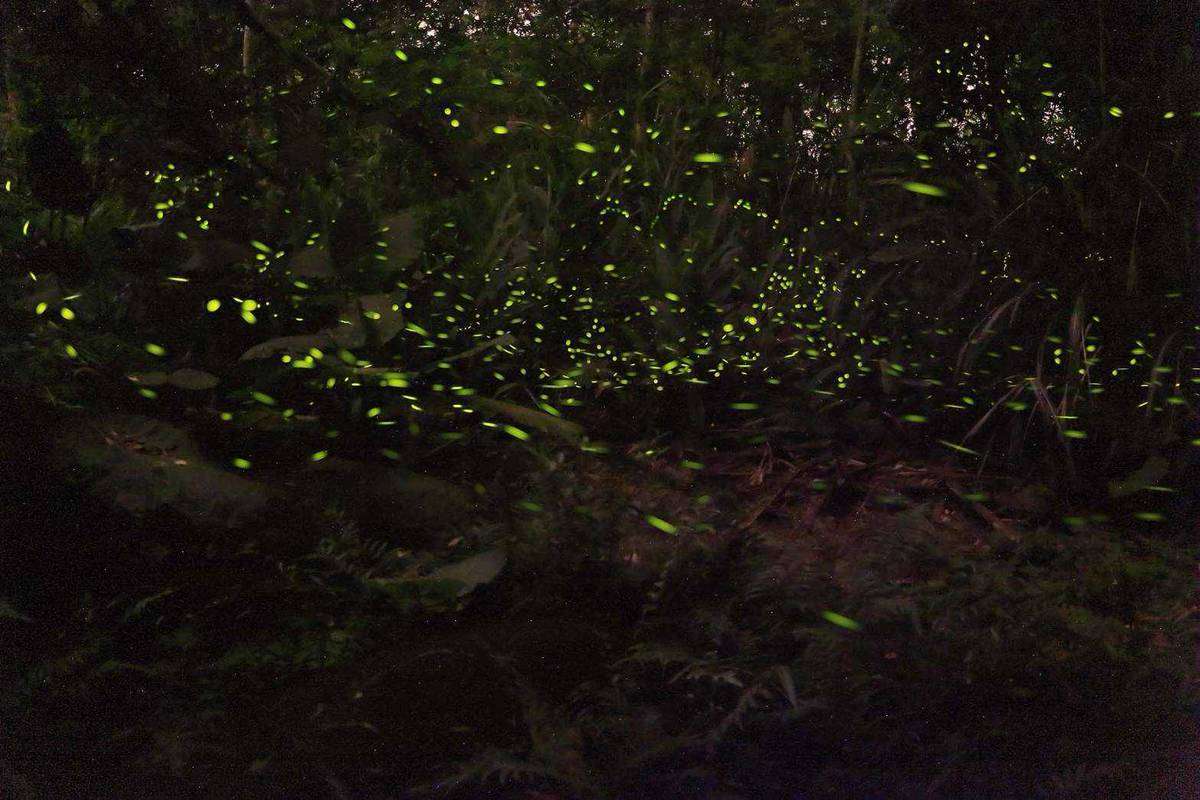 錯過可惜!桃園環保局環境教育探索活動4/10起開放報名 親子共學永續理念 第4張 2