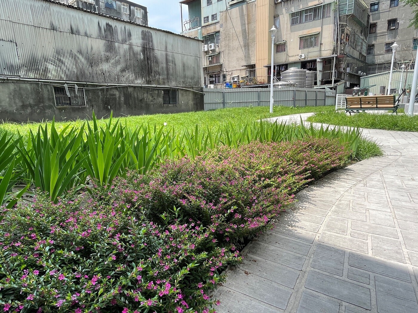 蘆洲再添綠地!「新社區公園」打造鄰里休憩空間