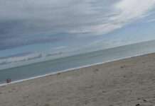 副刊/大詐騙時代——防不勝防、逃無可逃(下)