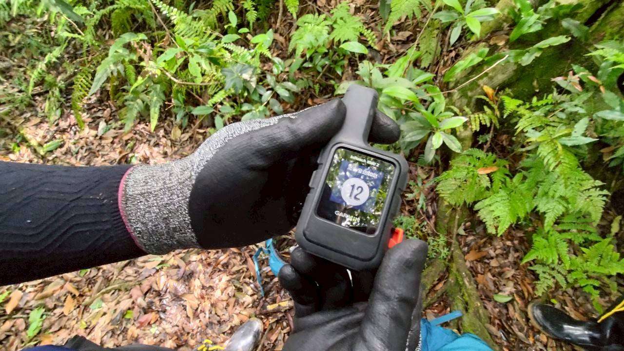 山很美也危險!桃園消防北插天山實戰訓練 30名精銳挑戰救援極限 1737339 0
