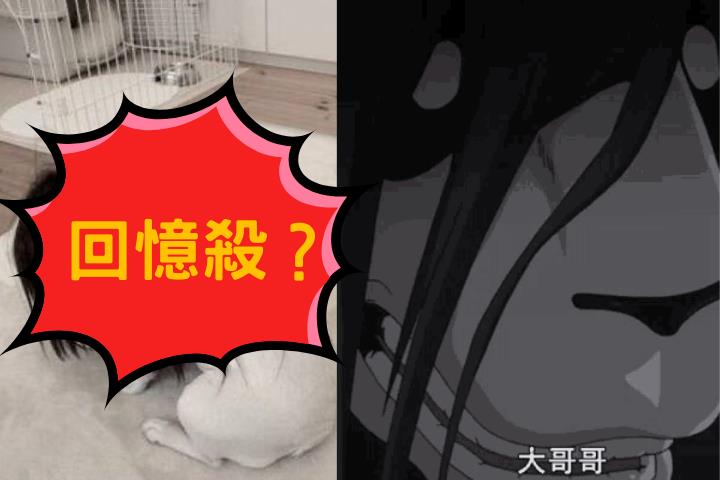 《鋼鍊》聲優一句話 粉絲集體崩潰:童年陰影