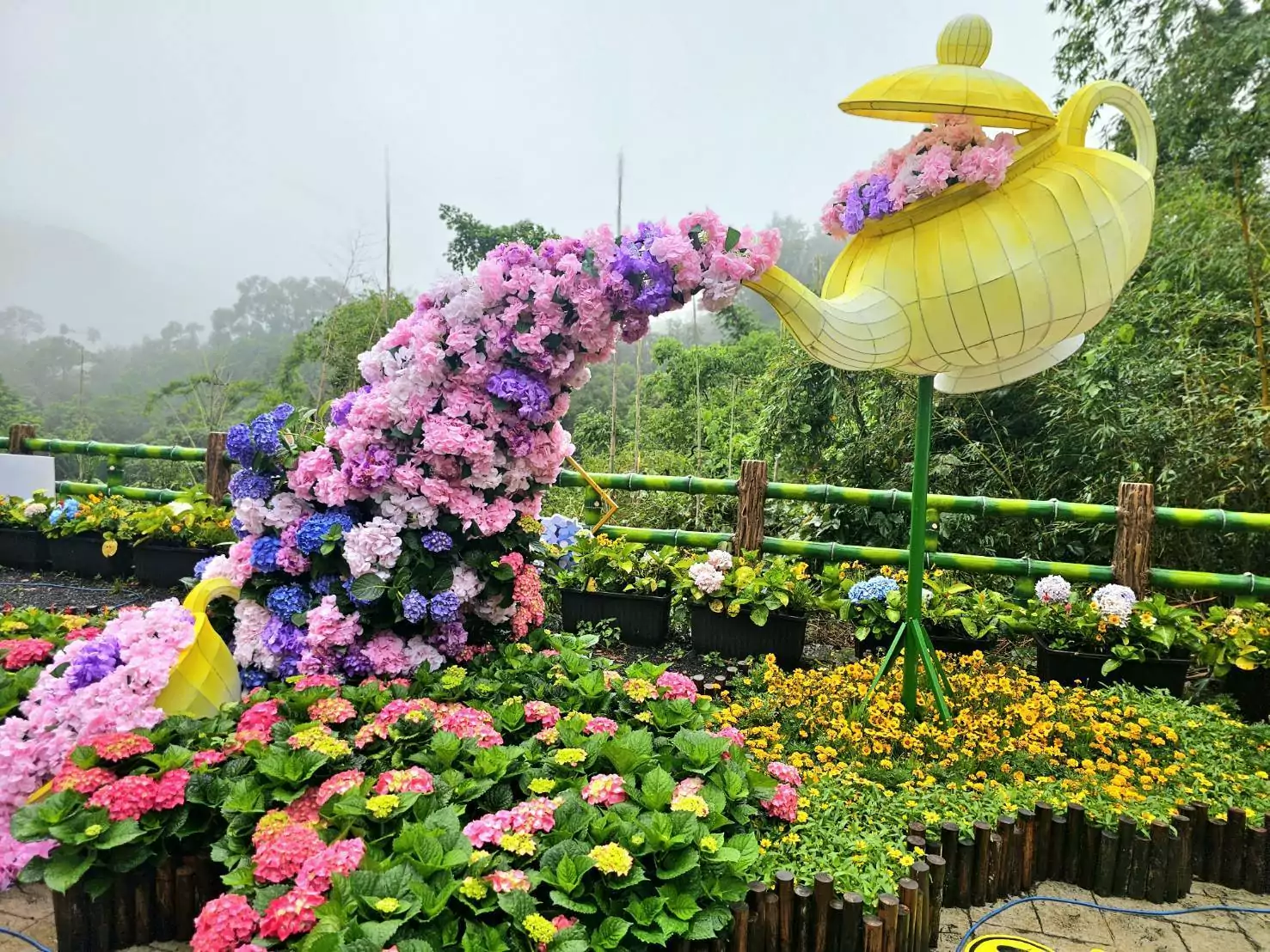 繡球花妝點台七線 枕頭山花景夢幻登場迎接賞花潮 S__13689096_0