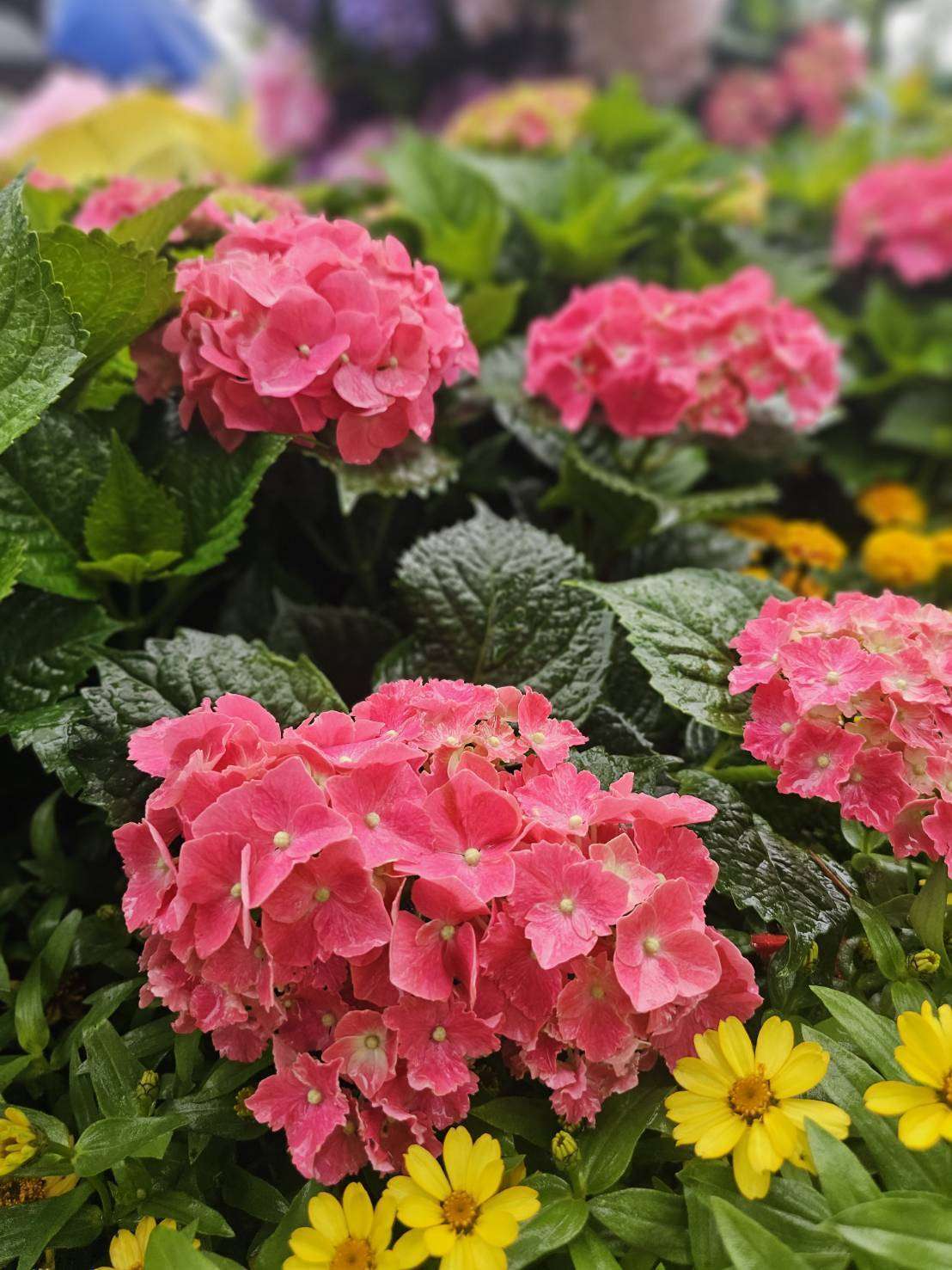 S__13689096_0