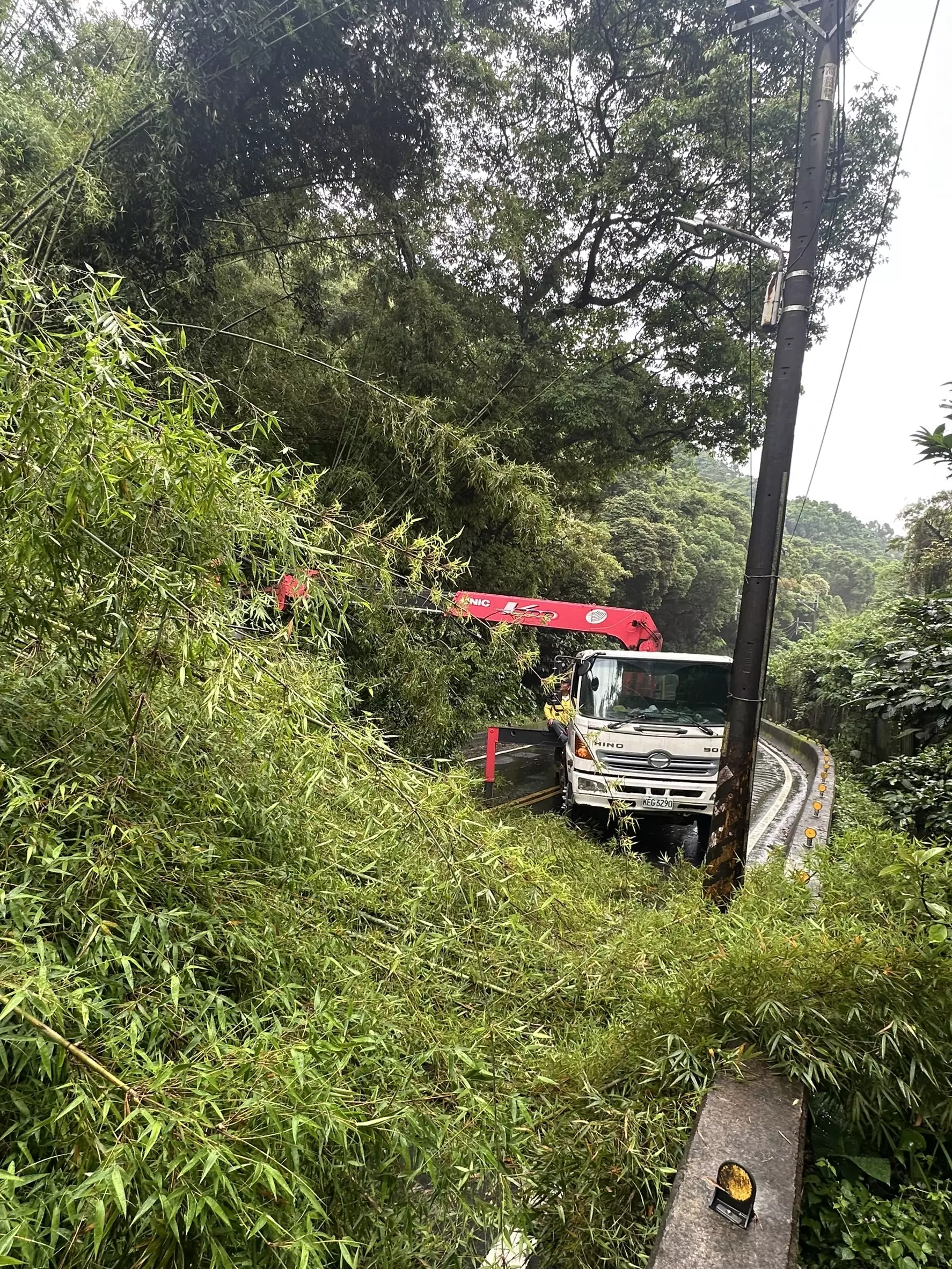 龜山路樹倒塌造成交通中斷 員警設立管制提醒改道 S__13689096_0