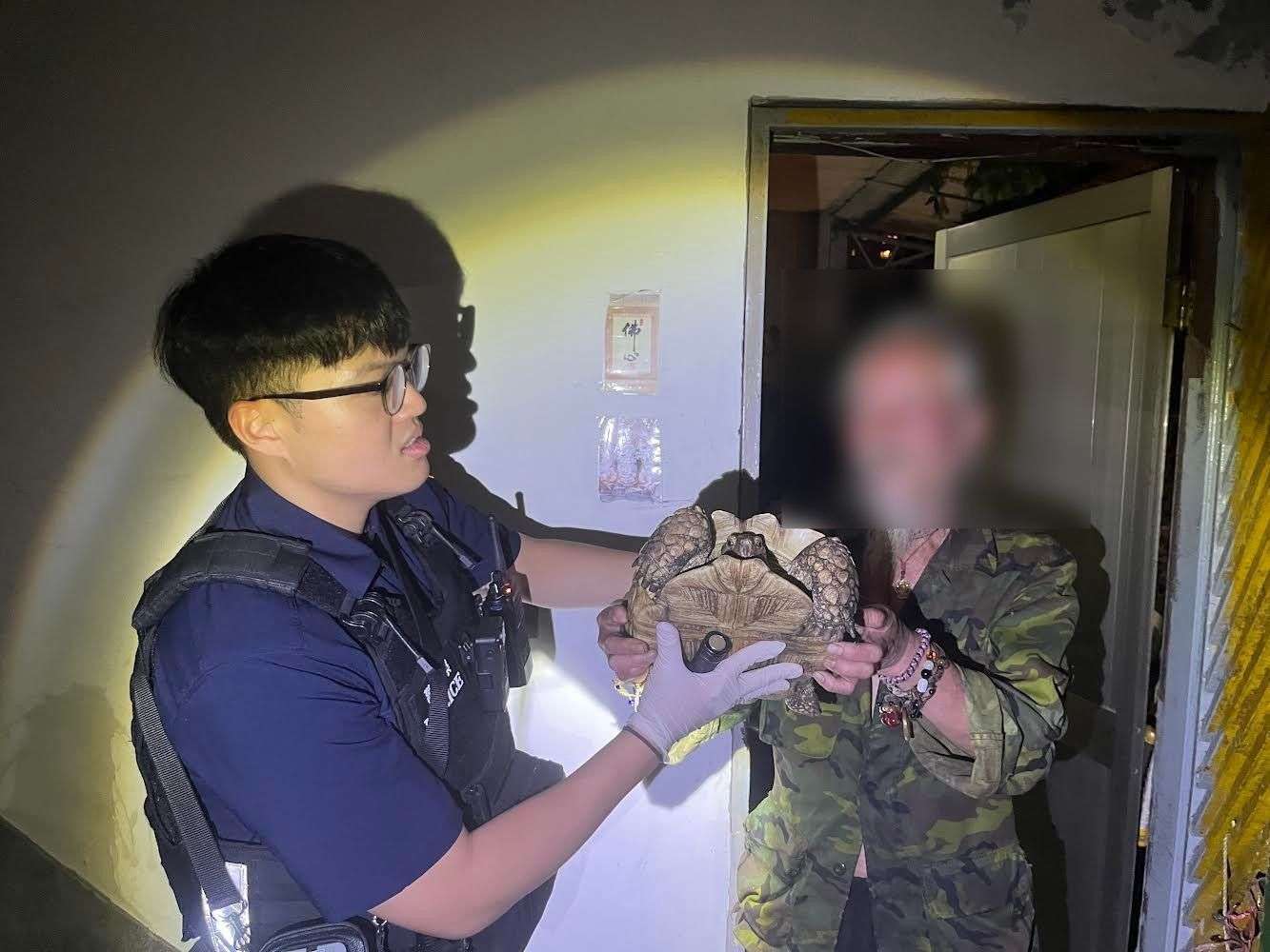 寵物象龜散步遭翁「套袋」偷走 平警靠這招火速尋回 612888_0