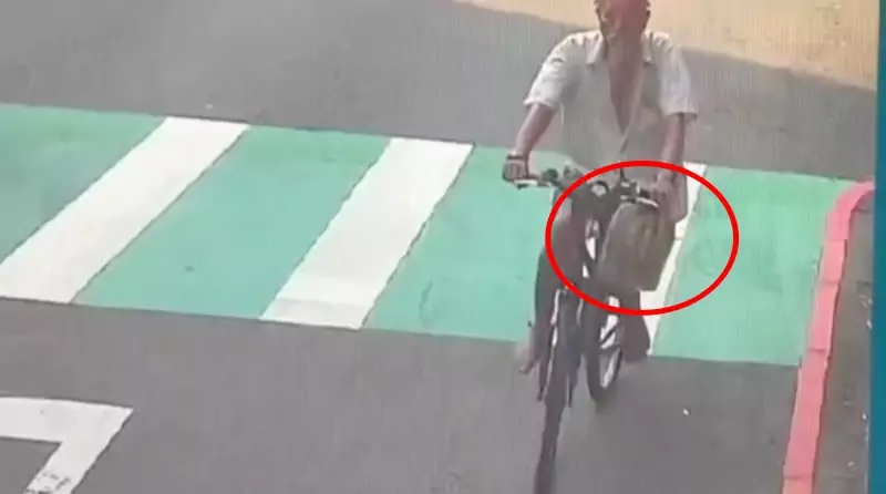 寵物象龜散步遭翁「套袋」偷走 平警靠這招火速尋回 1747102167762