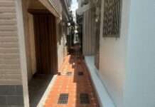 污水接管結合環境美化 桃園後巷整治成效亮眼