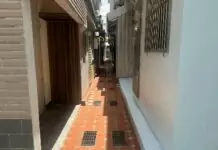 污水接管結合環境美化 桃園後巷整治成效亮眼 12346546 (1)
