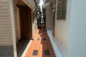 污水接管結合環境美化 桃園後巷整治成效亮眼