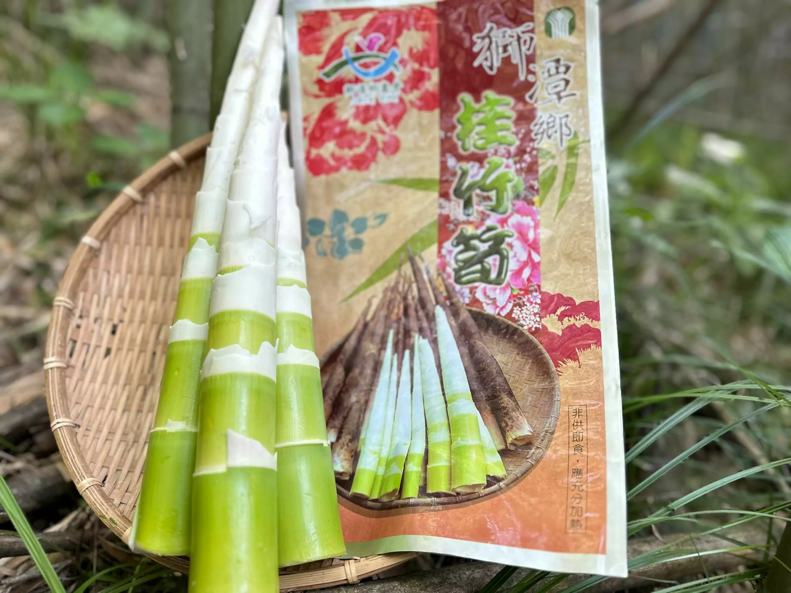 品嘗當季鮮甜滋味 必吃3道桂竹筍料理 品嘗當季鮮甜滋味 必吃3道桂竹筍料理