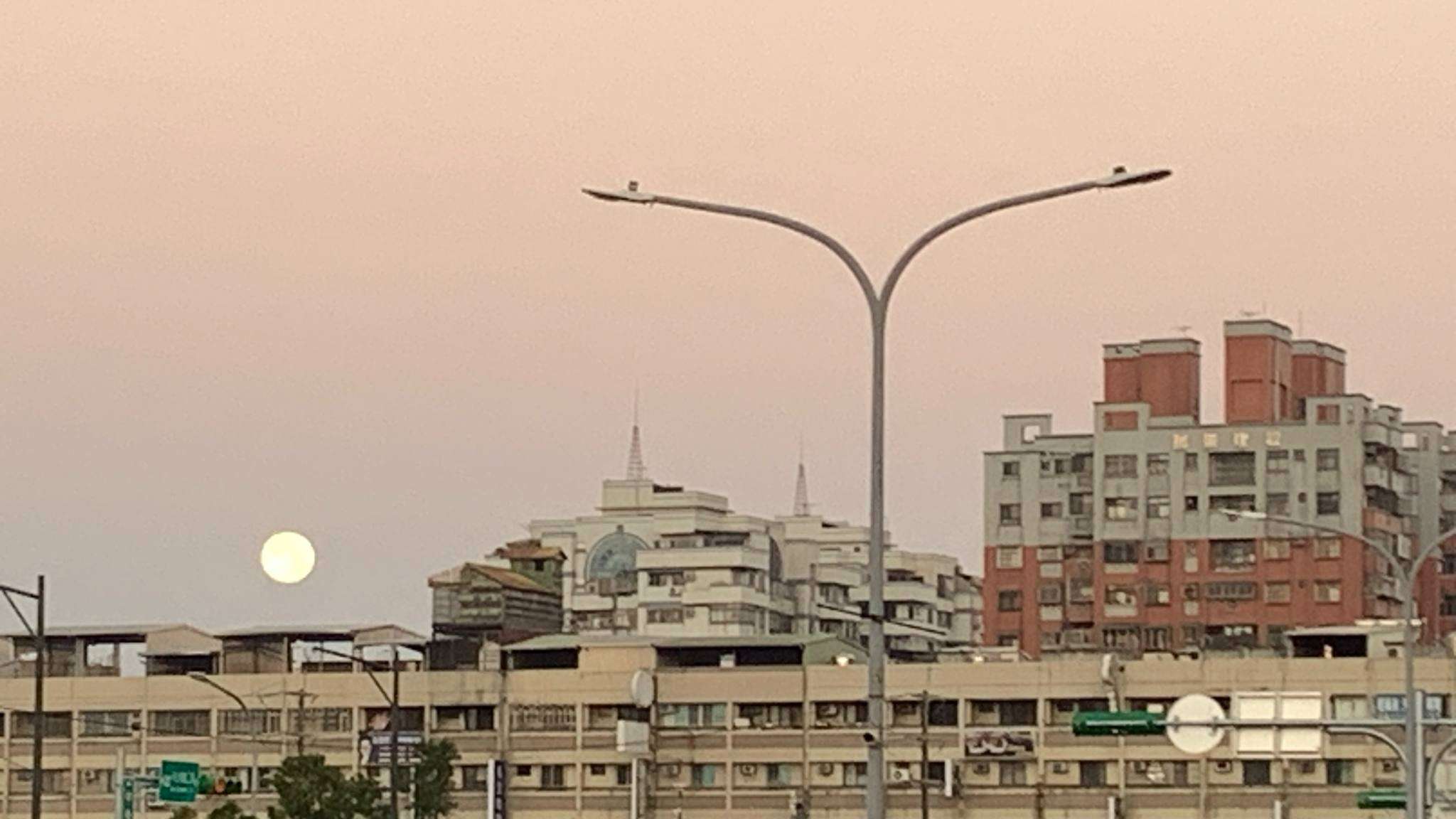 副刊/彷若夢境的一場病 職推課程-花藝