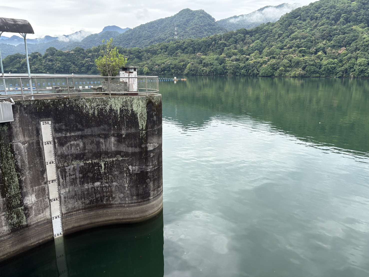 鋒面將來襲恐致大豪雨 石門水庫預降水位保留防洪空間 職推課程-花藝