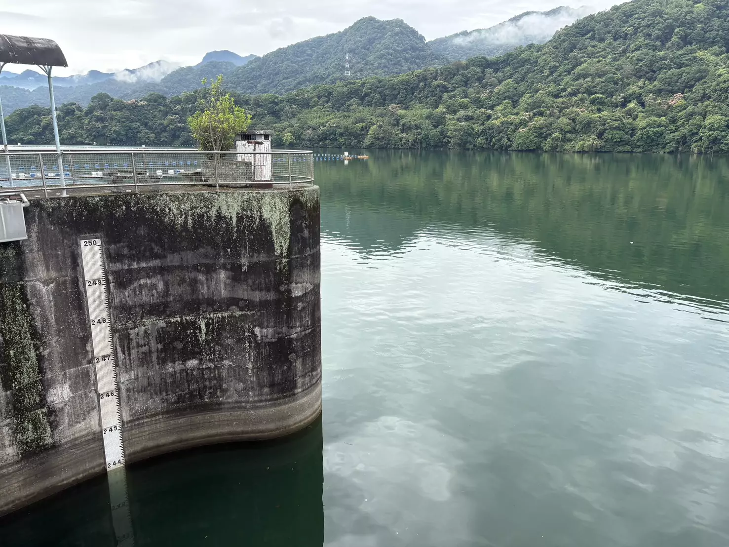 鋒面將來襲恐致大豪雨 石門水庫預降水位保留防洪空間 職推課程-花藝