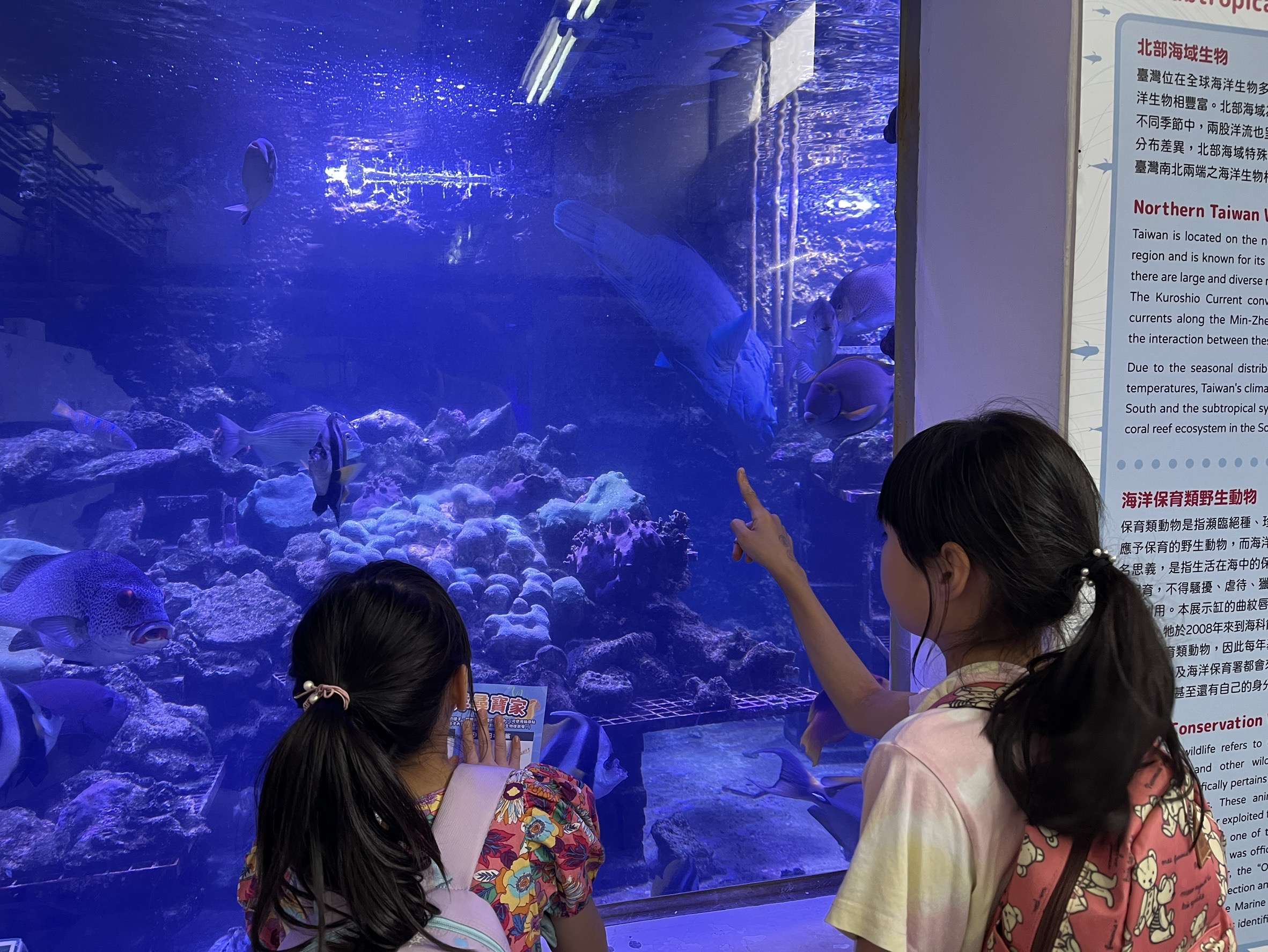 迎接國際博物館日 海科館精彩親子活動5月接力登場
