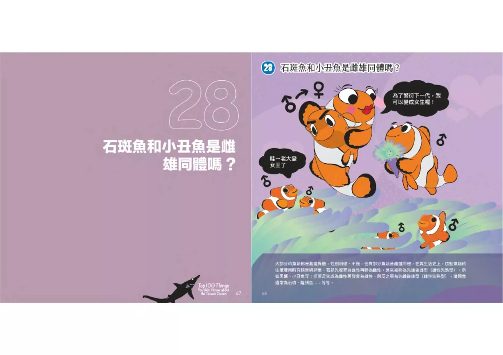 海保署出版《臺灣海洋生態科普百分百》圖文書 激發對海的好奇與關懷 00966CA3 039F 4B64 A2BA A41EA3797573
