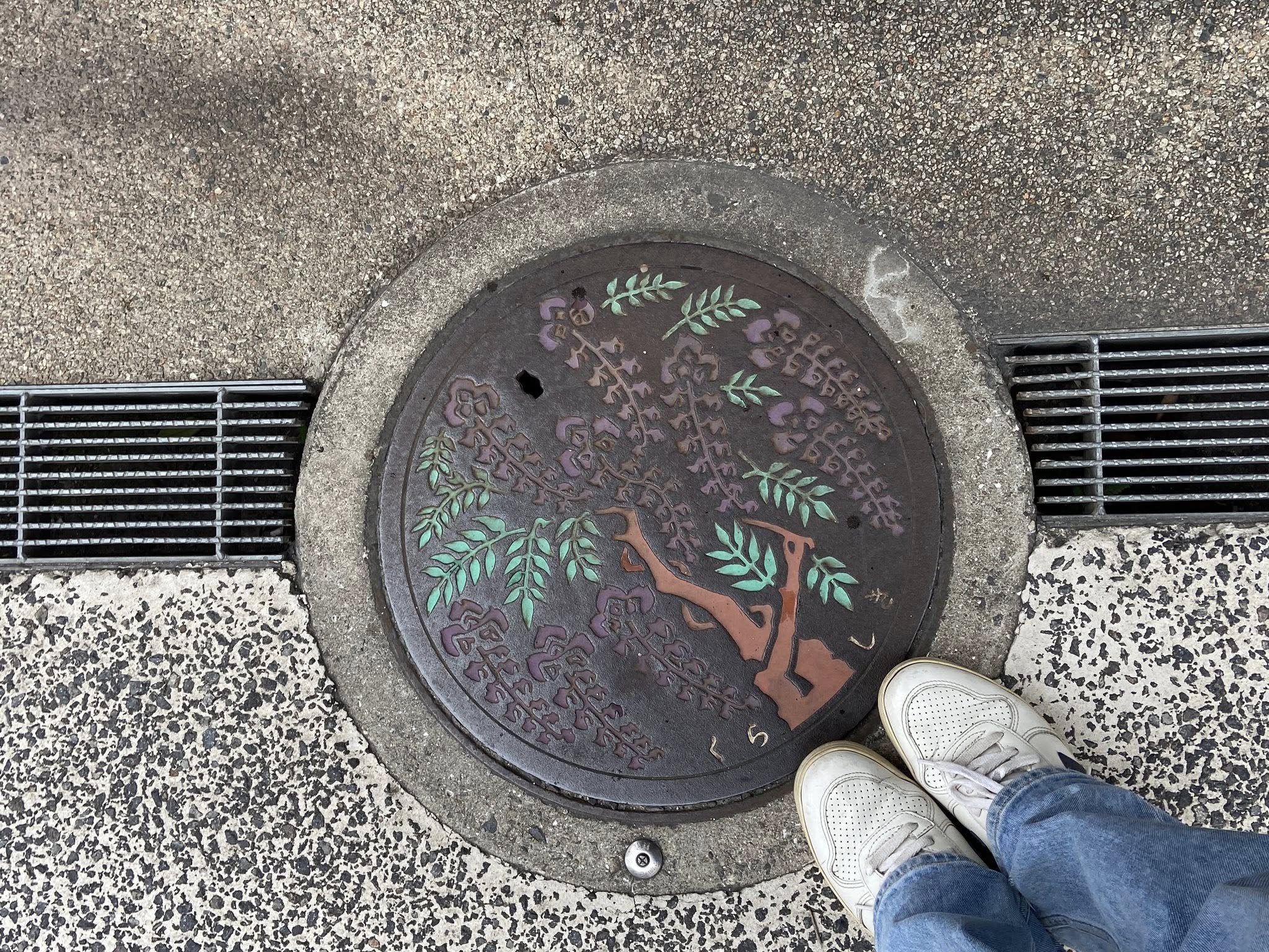 副刊/倉敷酒造與阿智神社 0620副刊倉敷的標誌— 阿智紫藤 0
