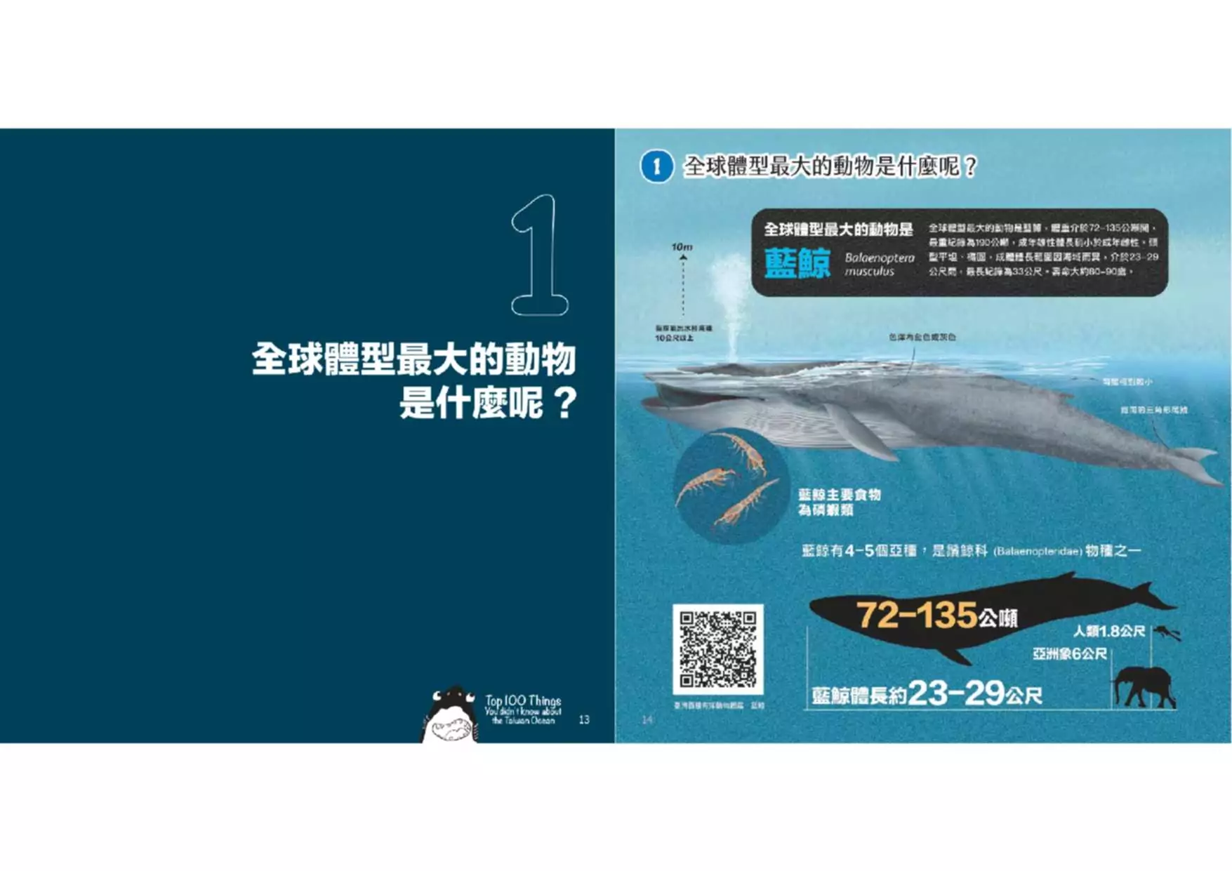 海保署出版《臺灣海洋生態科普百分百》圖文書 激發對海的好奇與關懷 14CEF1CC EF30 4167 BBB6 A8E08CE190B6