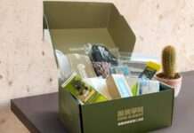 黑熊學院避難盒賣1380元太貴?凌濤:滿滿空氣都是台灣價值