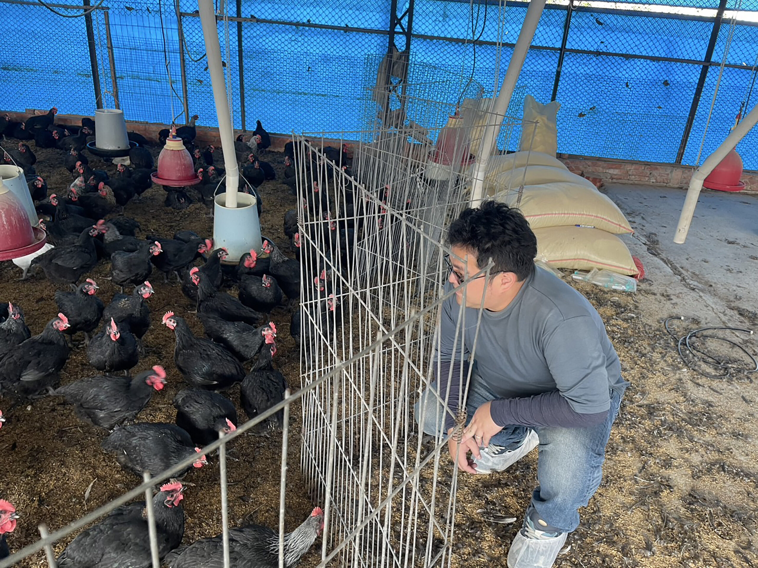 桃園社企中心輔導成果亮眼 洺鈞畜產用中藥養雞奪綠色願景獎 20250616081207011 scaled