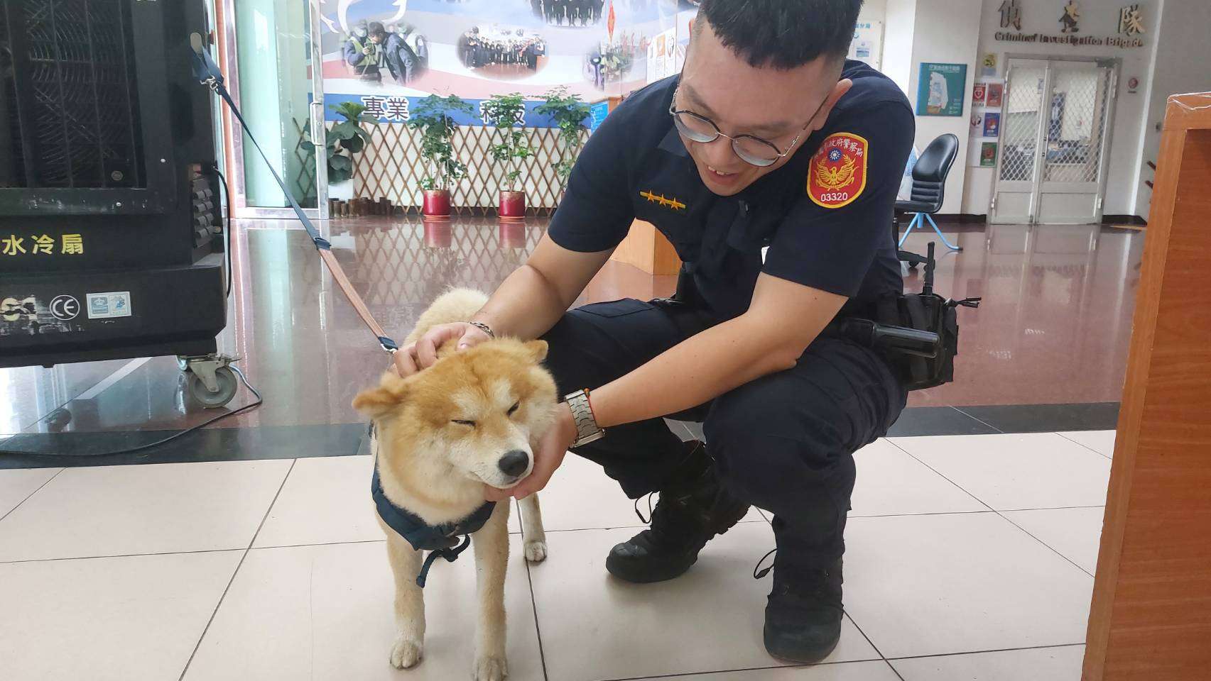 柴犬深夜街頭遊蕩 民眾協助送警尋找飼主