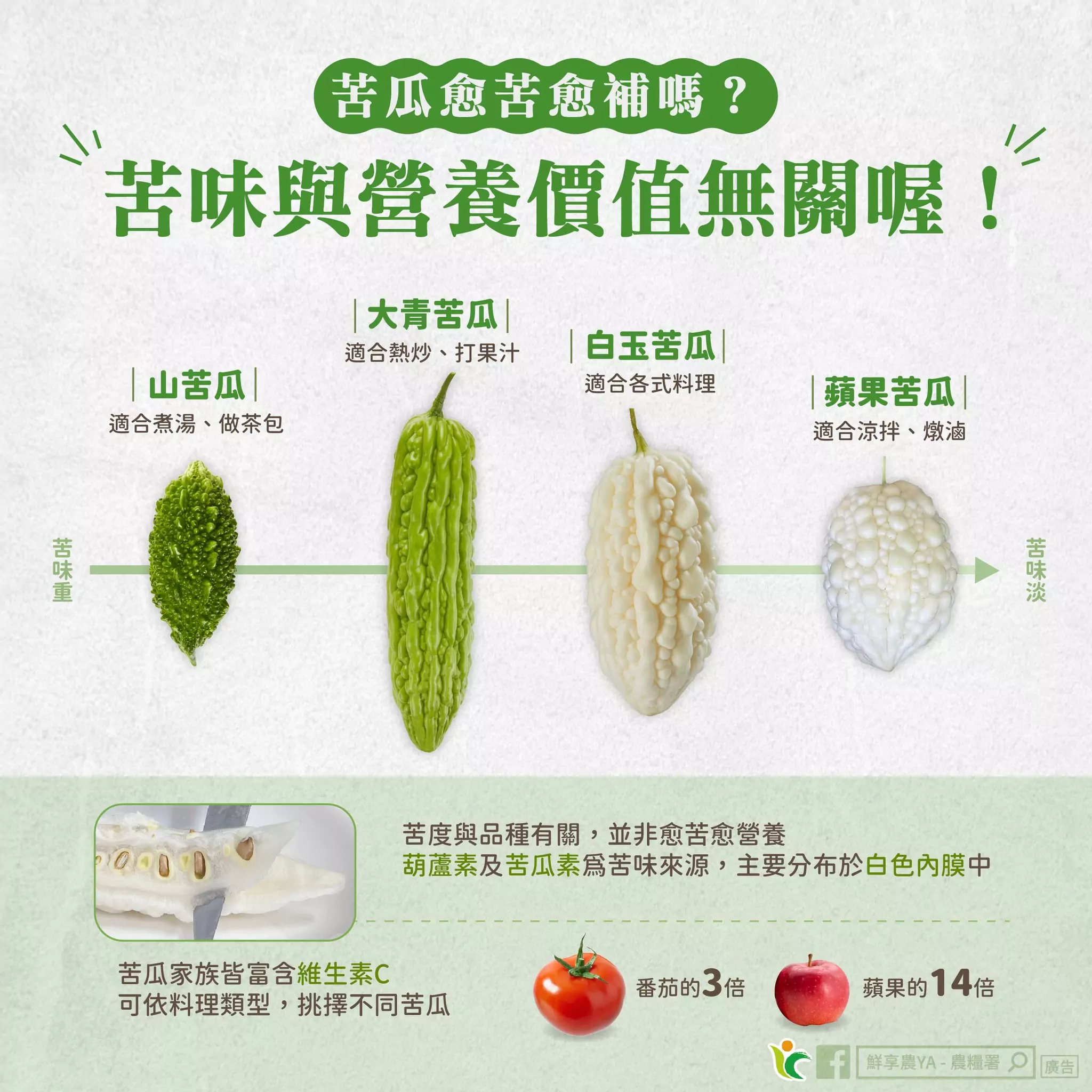 吃苦當吃補?農糧署破解苦瓜迷思 苦味關鍵在這 499688853 1015107910767839 5990877174384341457 n