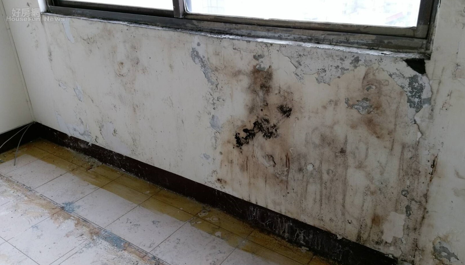 老屋壁癌漏水沒人要 專家揭一招更好賣