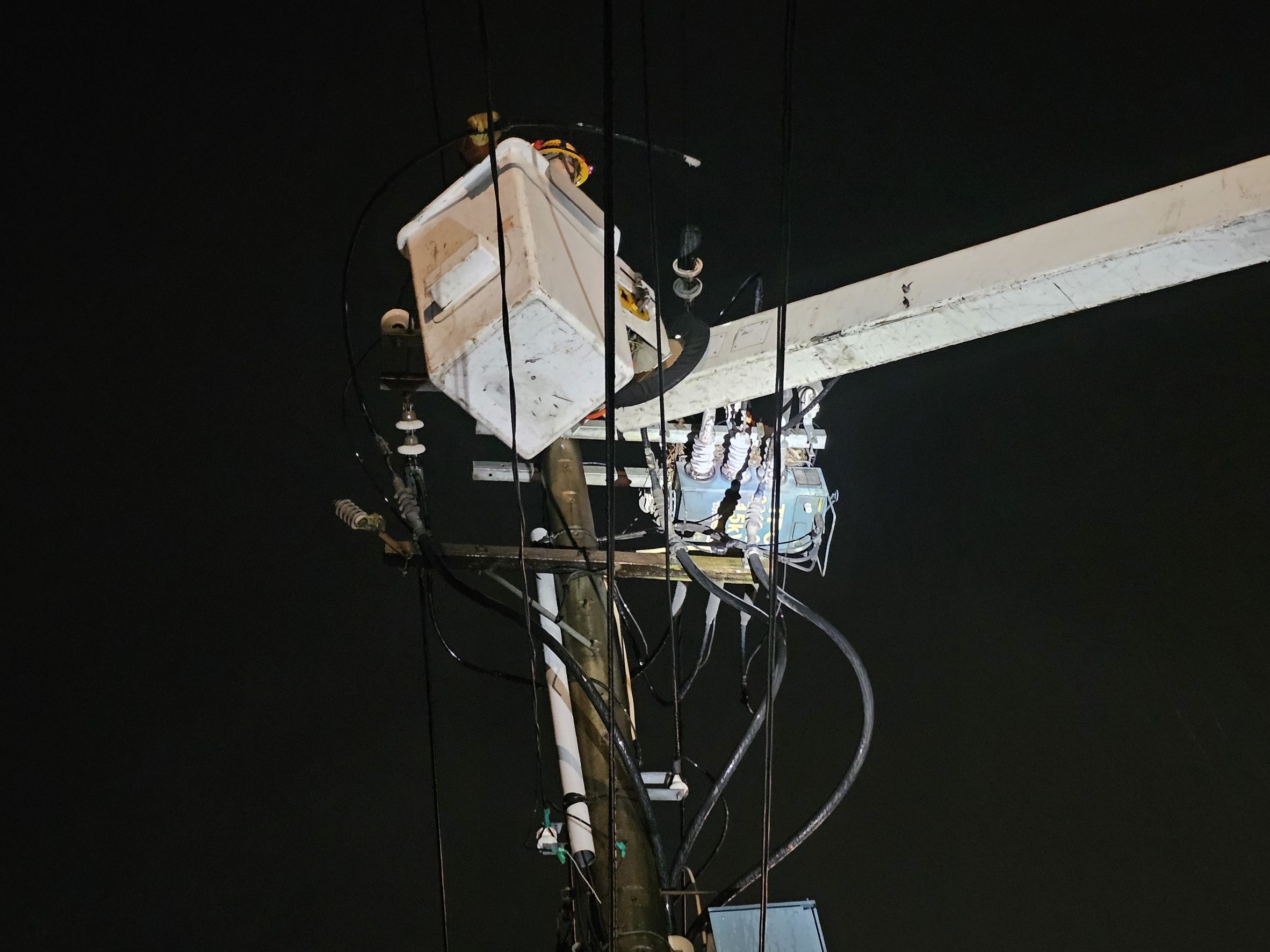 八德4324戶無預警停電 台電桃園區處曝兇手是牠 727239