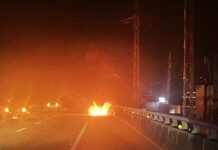 國1小客車突冒烈火駕駛急逃 整輛燒成廢鐵