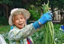 地方創生永續發展論壇開南大學登場 聚焦食農教育推廣