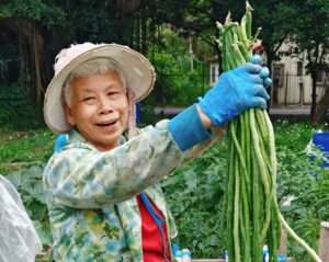 地方創生永續發展論壇開南大學登場 聚焦食農教育推廣