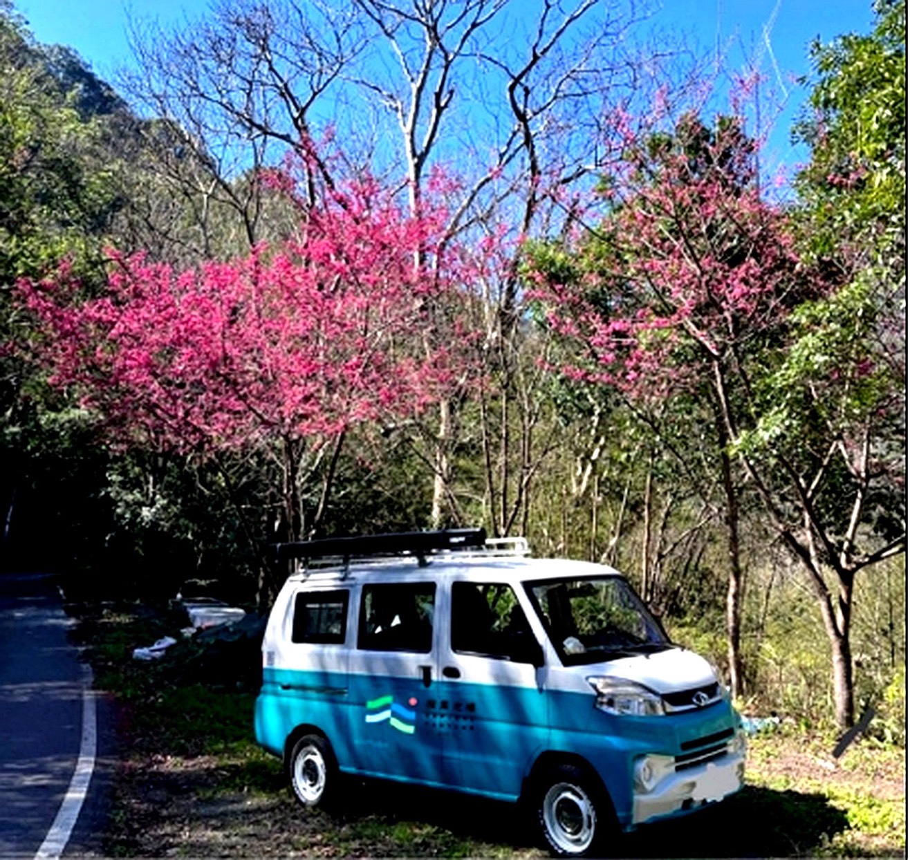 走進北橫山林秘境!「探索北橫號」旅遊宣傳車夢幻登場 S 83419139 0 0