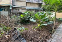 北投、士林、內湖都抓到了!住宅空地違規使用「它」 環保局揭「恐怖危害」:最高開罰5萬元