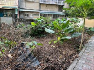 北投、士林、內湖都抓到了！住宅空地違規使用「它」　環保局揭「恐怖危害」：最高開罰5萬元