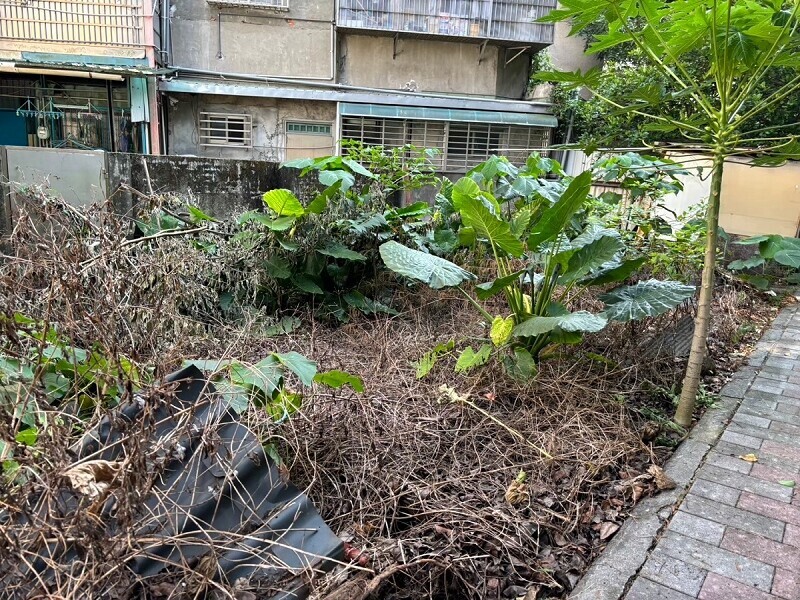 北投、士林、內湖都抓到了!住宅空地違規使用「它」 環保局揭「恐怖危害」:最高開罰5萬元