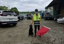 無名英雄!大溪瑞祥國小警衛風雨無阻守護師生 「小黑」也被他收服