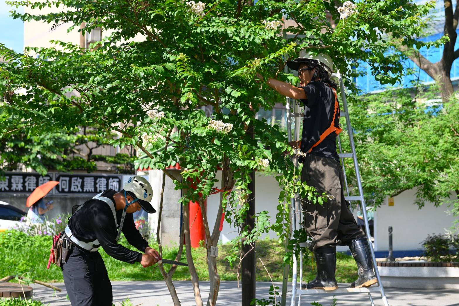 蝴蝶颱風、熱帶低壓恐帶來豪雨 桃園環保局強化防汛整備 桃園環保局防範颱風「蝴蝶」效應 清潔隊總動員清溝防颱整備超前部署