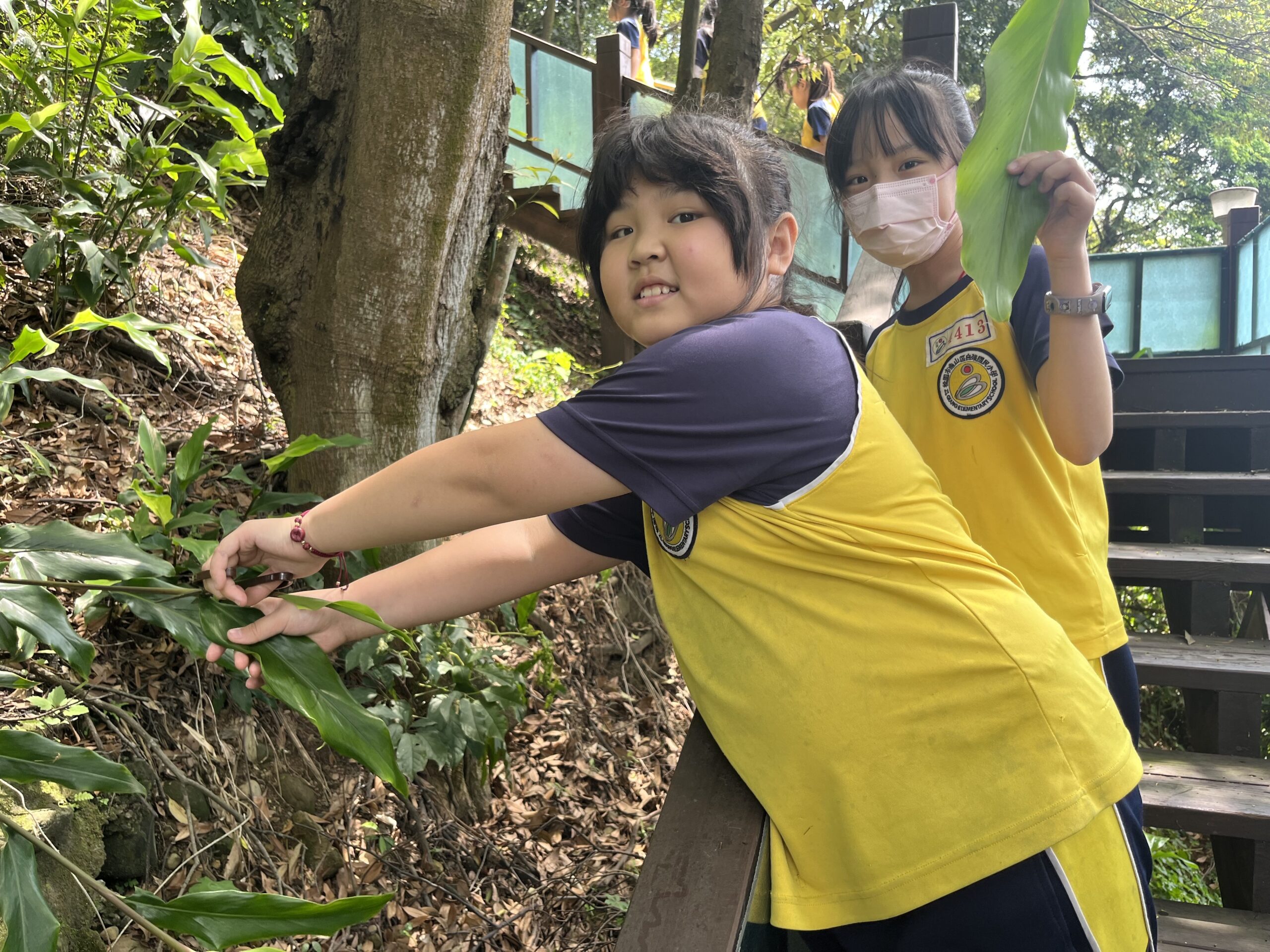 連粽葉都自己摘!龜山自強國小結合生命及環境教育 學童體驗包粽子樂趣 自強07 0 scaled
