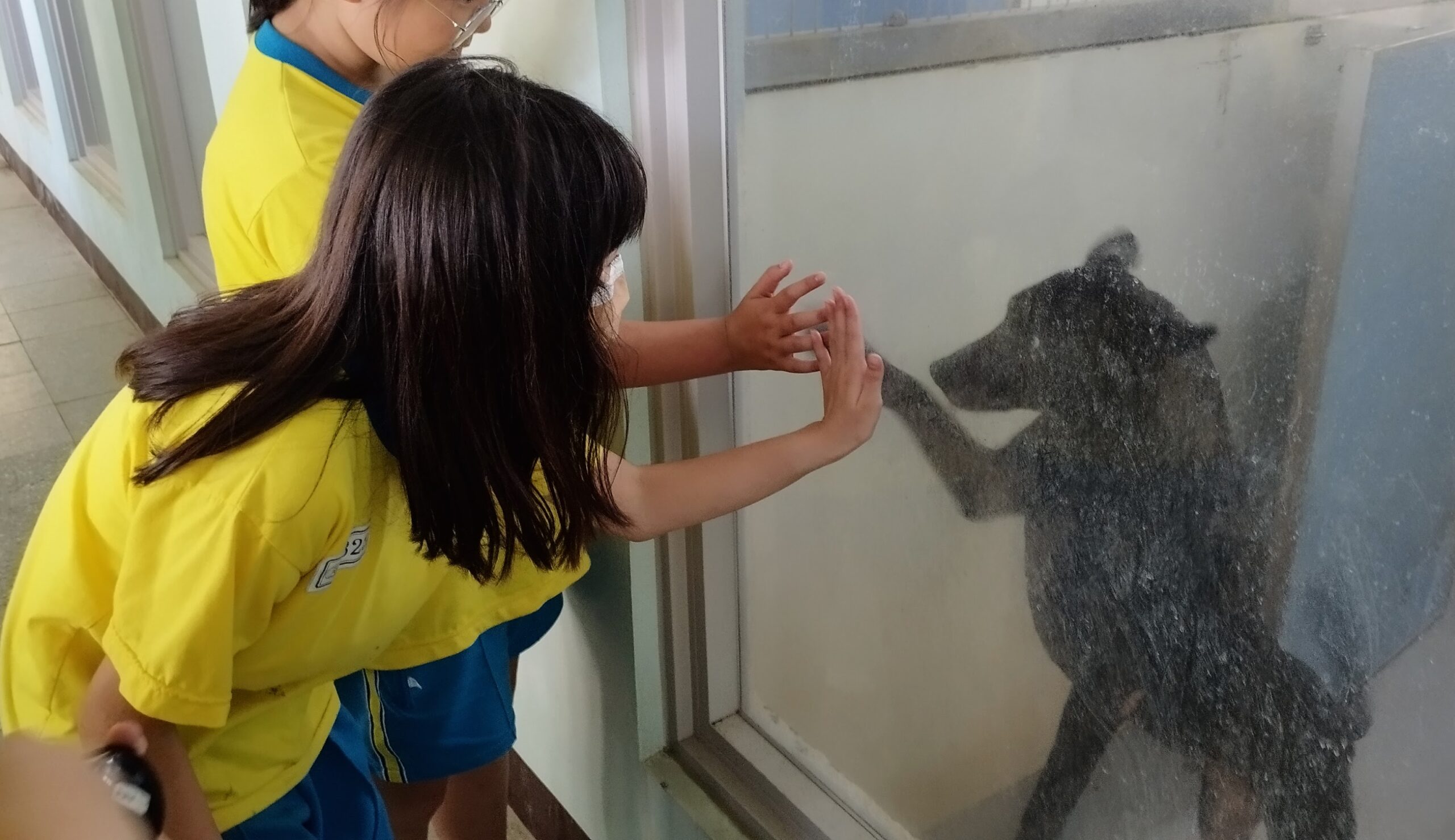 桃市龍岡國小舉辦愛心義買 為動保園區浪浪募集飼料 龍岡01 0 scaled