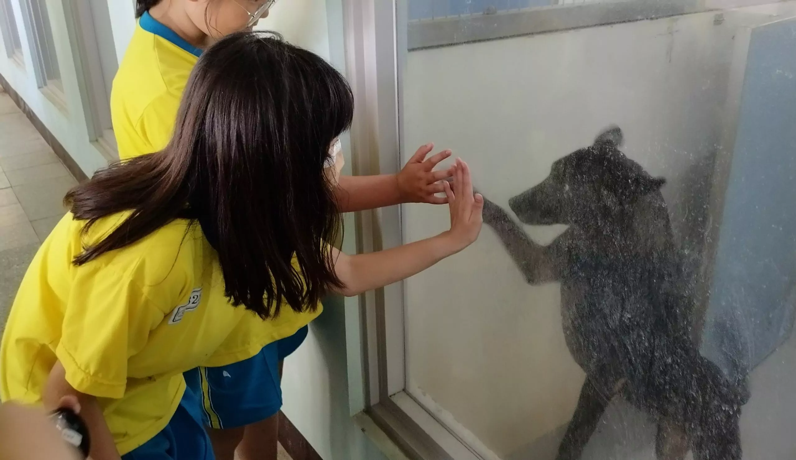 桃市龍岡國小舉辦愛心義買 為動保園區浪浪募集飼料 龍岡01 0 scaled