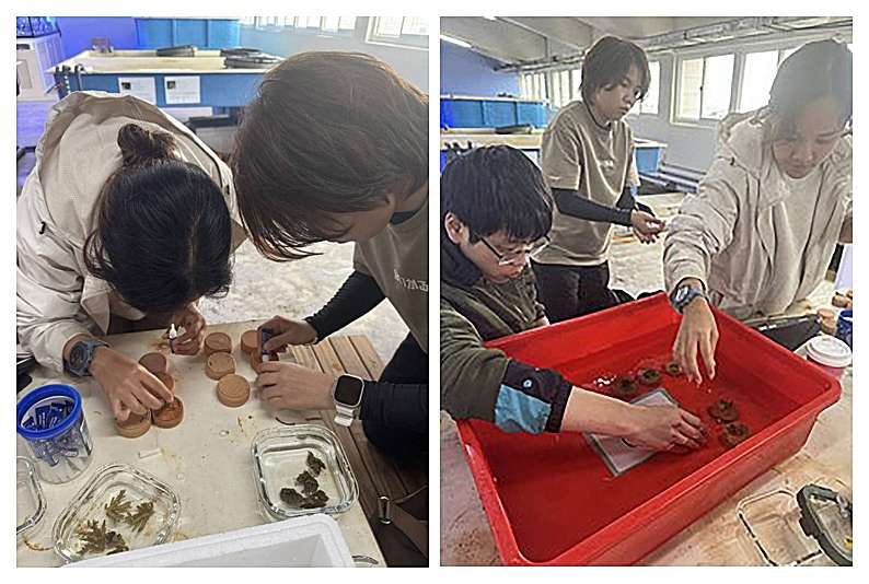 龍華科大攜手海洋大學USR創新珊瑚復育低碳技術 打造海洋永續新篇章 4