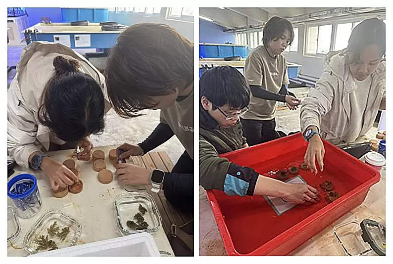 龍華科大攜手海洋大學USR創新珊瑚復育低碳技術 打造海洋永續新篇章 4