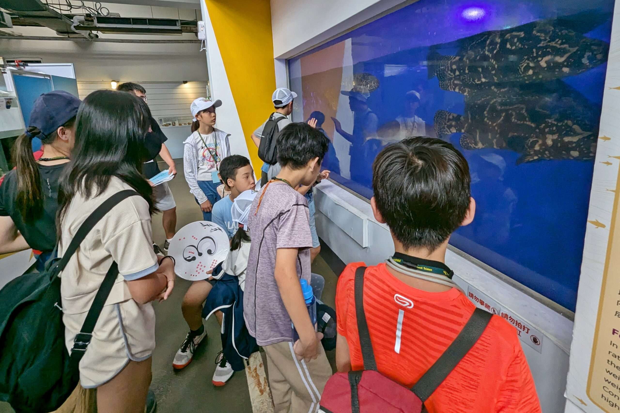 海科館、科博館攜手舉辦暑期營隊 學童回味無窮 圖4:學員在海科館海洋中心跟著飼育員近距離觀察海洋生物 0 scaled