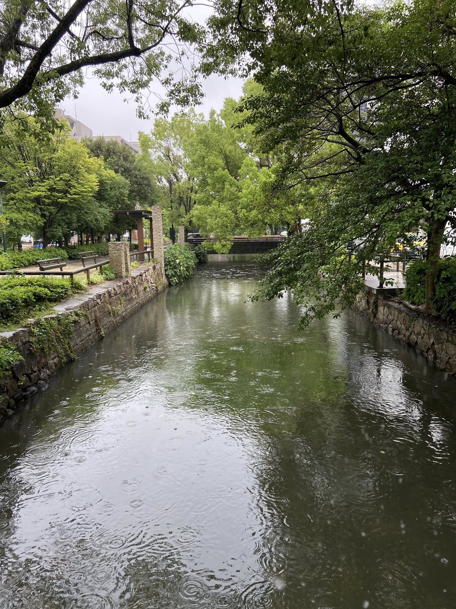 0719副刊圖三西川綠道公園