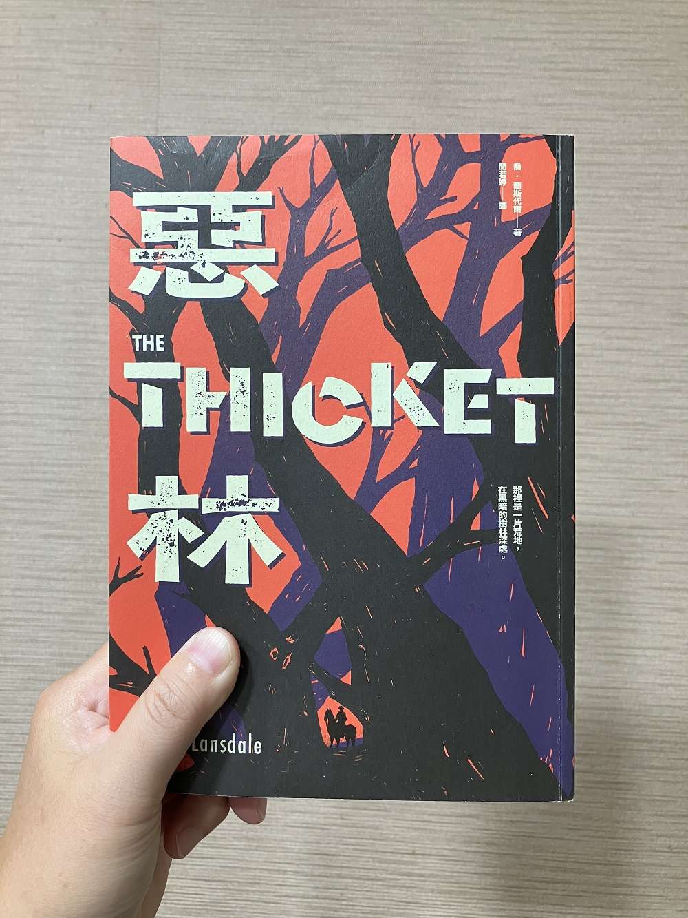 副刊/穿越《惡林》:破破爛爛的人也能有英雄旅程 0728副刊IMG 5238