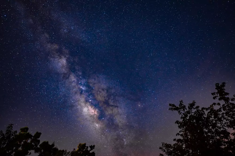 夏天最夢幻的夜間體驗 桃園拉拉山星樂園8月登場 夏天最夢幻的夜間體驗 桃園拉拉山星樂園8月登場