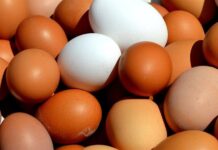 不是「蛋」害的 這食物才是高膽固醇元凶