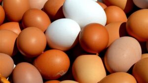 不是「蛋」害的 這食物才是高膽固醇元凶