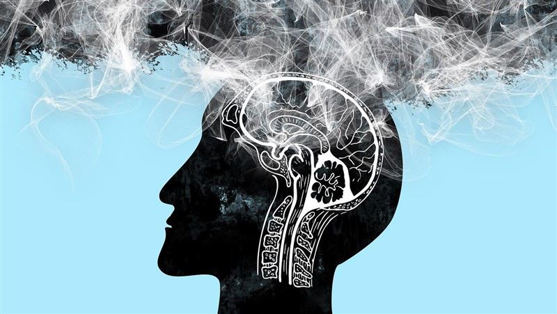 新冠是重要指標 這類人身體好又聰明