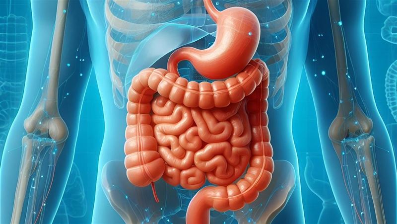 運動太猛反傷腸 「1甜食」抗發炎又護腸